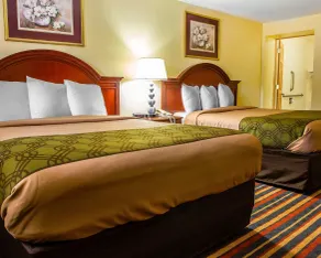 Econo Lodge Jefferson Hills Hwy 51 - Chambre
