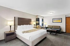 Best Western Naperville Inn - Chambre