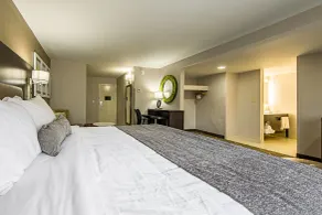 Best Western Plus Clemson Hotel & Conference Center - Chambre