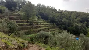 Agriturismo Cerrolungo - Udsigt fra værelset