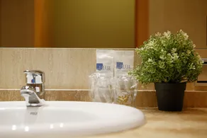Hotel Blue Marqués de San Esteban - Baño