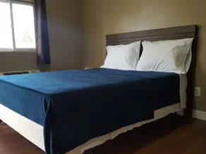 Palace Inn Motel - Rum