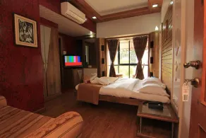 Mount View Executive - Room
