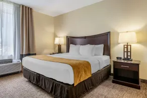 Comfort Suites Maingate East - Chambre