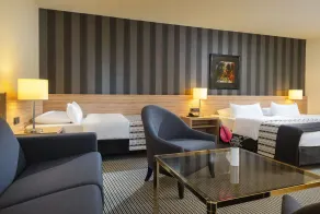 Maritim Hotel Königswinter - Room