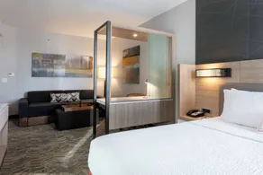 SpringHill Suites by Marriott Chattanooga South/Ringgold - Chambre
