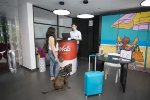 Casual Pop Art Benidorm by Casual Hoteles - Réception