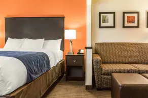 Comfort Inn Wings Stadium - Chambre