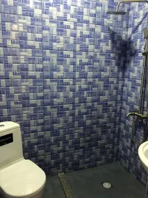 Hotel Royal Georgia - Bathroom