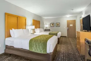Comfort Inn Jasper South - Chambre