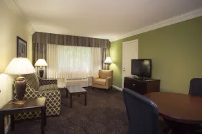 Holiday Inn Express Athens - University Area by IHG - Chambre