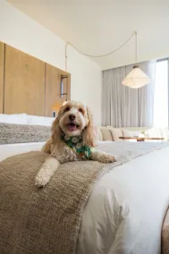 1 Hotel Seattle - Chambre