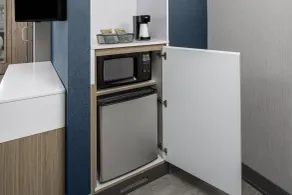 SpringHill Suites by Marriott East Rutherford Meadowlands Carlstadt - Chambre