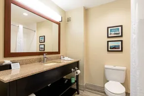 Comfort Inn & Suites Pine Bluff - Salle de bain