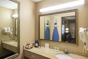 Quality Inn & Suites Greenville - Haywood Mall - Room