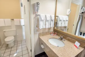 Econo Lodge Grand Junction North - Bathroom