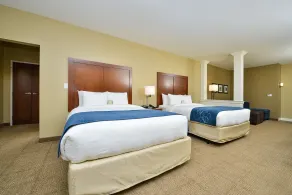 Comfort Suites Airport-University - Chambre