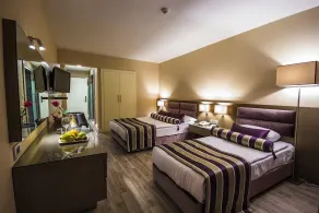 The New Hotel Zeybek - Room