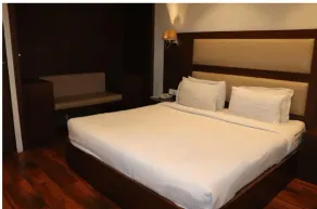 Pavna Palace Hotel - Chambre
