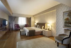 Anemon Grand Konya Otel - Room