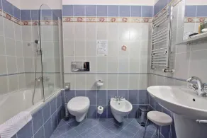 U Páva - Salle de bain
