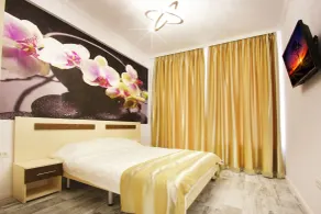 Lotus 7 Silver - Room
