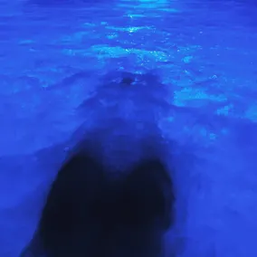 Formula International & Puravita SPA - Pool