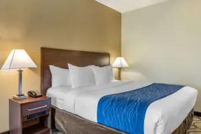 Comfort Inn & Suites Orange County John Wayne Airport - Chambre