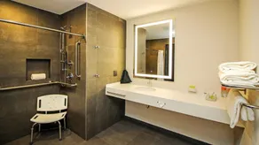 Holiday Inn San Luis Potosi-Quijote by IHG - Badezimmer