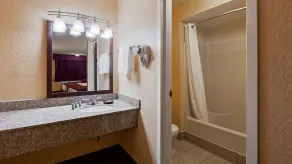 Days Inn by Wyndham Whitmore Lake/Ann Arbor/Brighton - Badeværelse