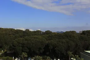 Grand Mercure Minamiboso Resort & Spa - Vue de la chambre