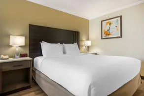 Best Western Plus Orange County Airport North - Chambre