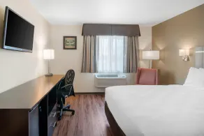 Econo Lodge Inn & Suites Springfield Main Street - Chambre