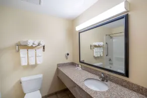 Baymont by Wyndham Savannah I-95 - Bathroom
