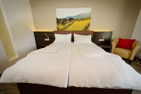 Dorfmeister Business Hotel B&B - Værelse