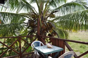 White Coconut Studio - Ausblick vom Zimmer