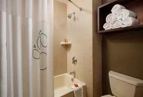 Great Wolf Lodge Grapevine - Salle de bain