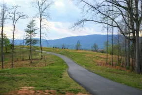 Quiet Charlottesville Hideaway in Baileys Retreat! - Interiör