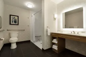Homewood Suites by Hilton Tuscaloosa Downtown - Badeværelse