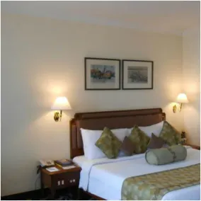 Peerless Hotel Kolkata - Værelse