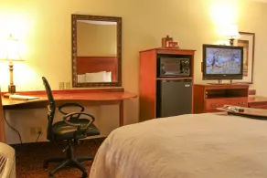 Hampton Inn & Suites Grenada - Chambre