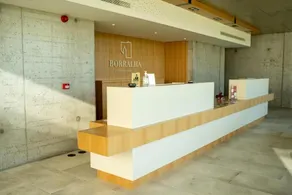 Borralha Hotel, Restaurante & Spa - Rezeption