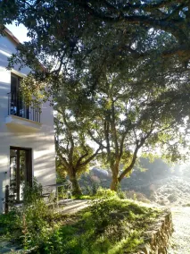 Tambor Del Llano - Vue de la chambre