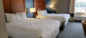 Comfort Inn Bessemer Birmingham South - Chambre