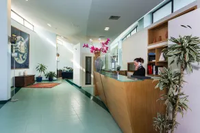 Rada Siri - Reception