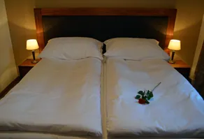 Hotel U Kvapilů - Habitación