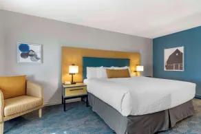 Clarion Hotel & Conference Centre - Chambre