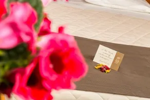 Hotel & Aparthotel Carinthia S - Chambre