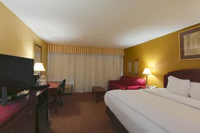MCM Elegante Hotel & Suites Lubbock - Room