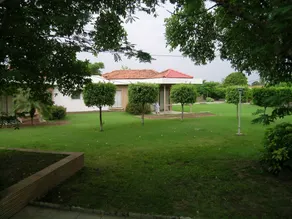 The Meadows Resort and Spa - Vue de la chambre